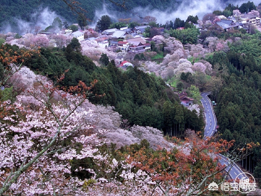 眉山哪里看欧洲杯直播比赛:眉山哪里看欧洲杯直播比赛最好