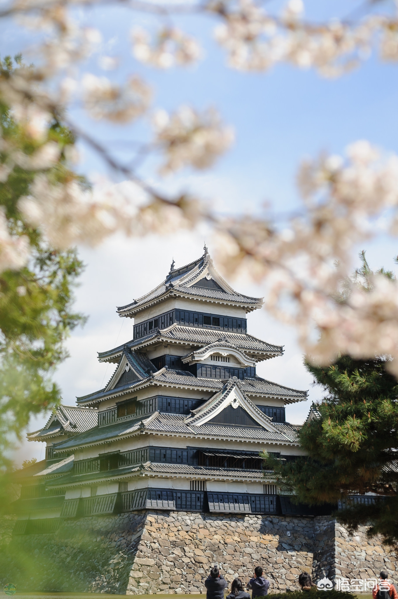 眉山哪里看欧洲杯直播比赛:眉山哪里看欧洲杯直播比赛最好