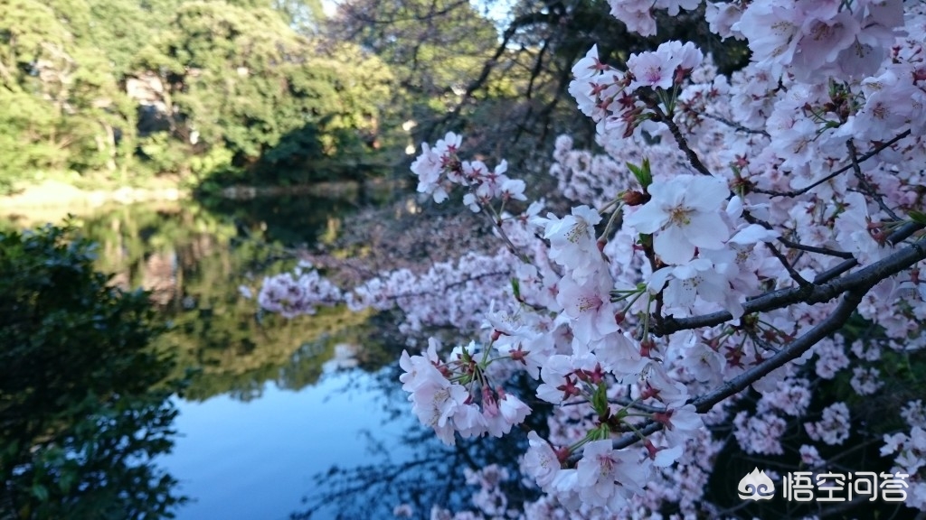 眉山哪里看欧洲杯直播比赛:眉山哪里看欧洲杯直播比赛最好