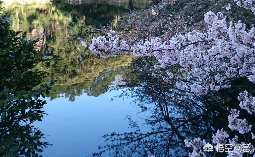 眉山哪里看欧洲杯直播比赛:眉山哪里看欧洲杯直播比赛最好