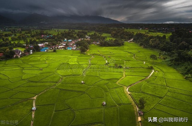 福清哪里看欧洲杯直播的:福清哪里看欧洲杯直播的好