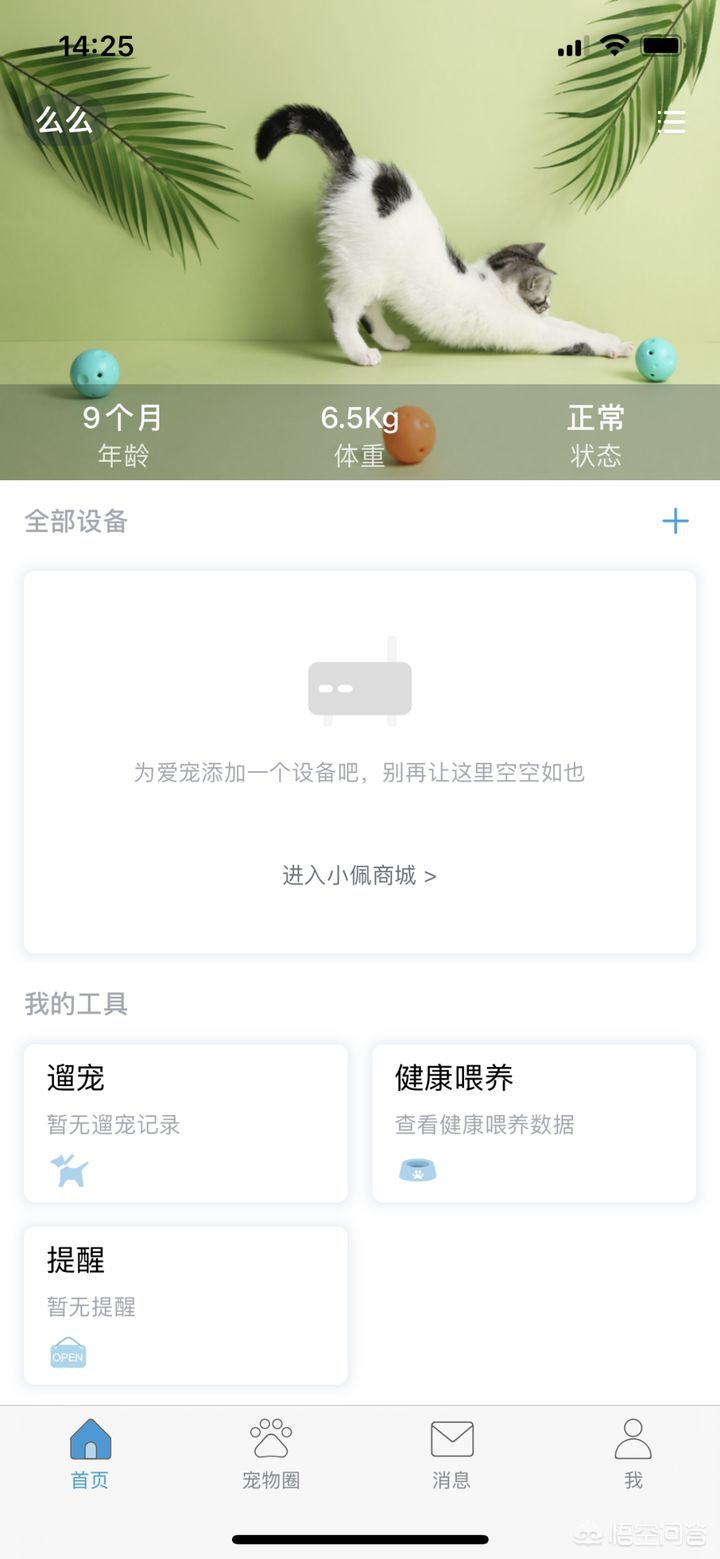 e宠欧洲杯直播:欧洲杯e组比赛