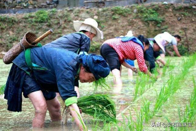 老佳在哪直播欧洲杯:老佳在哪里直播足球比赛