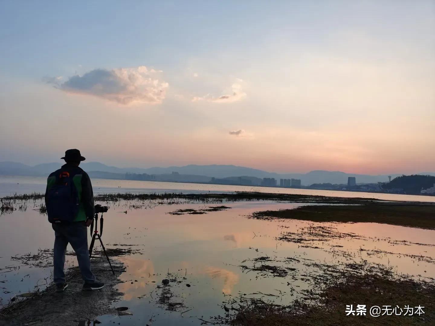 欧洲杯烤羊排视频直播间:欧洲杯烤羊排视频直播间是真的吗