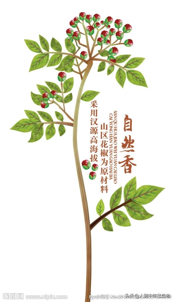 花椒直播能看欧洲杯嘛:花椒直播能看欧洲杯嘛