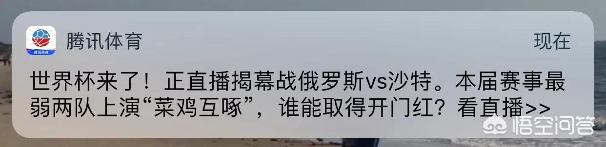 新浪如何看欧洲杯视频直播:新浪如何看欧洲杯视频直播回放