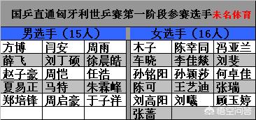 匈牙利阵容分析:匈牙利阵容分析最新消息