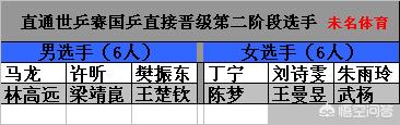 匈牙利阵容分析:匈牙利阵容分析最新消息