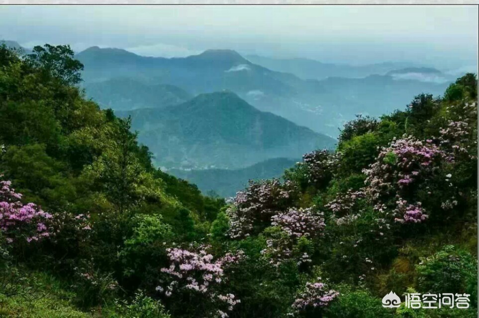 霍州哪里能看欧洲杯直播:霍州哪里能看欧洲杯直播的