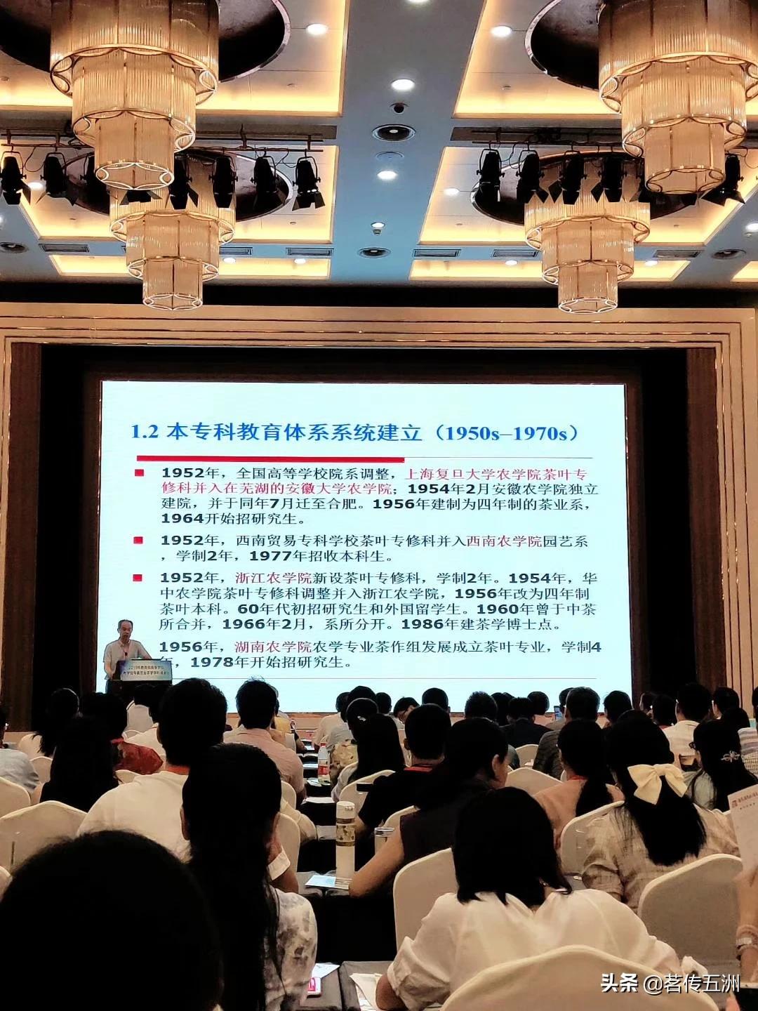 欧洲杯网上直播运营实习:欧洲杯网络直播平台有哪些