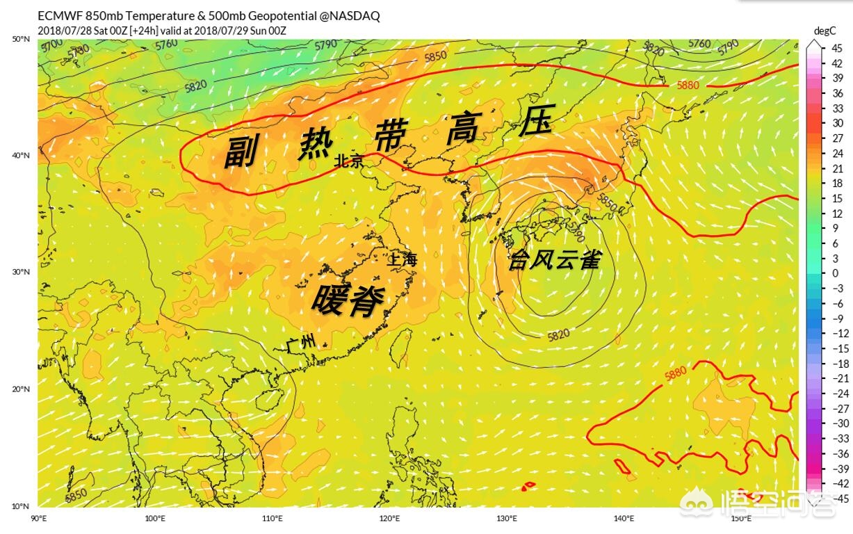 云雀欧洲杯直播:云雀欧洲杯直播在哪看