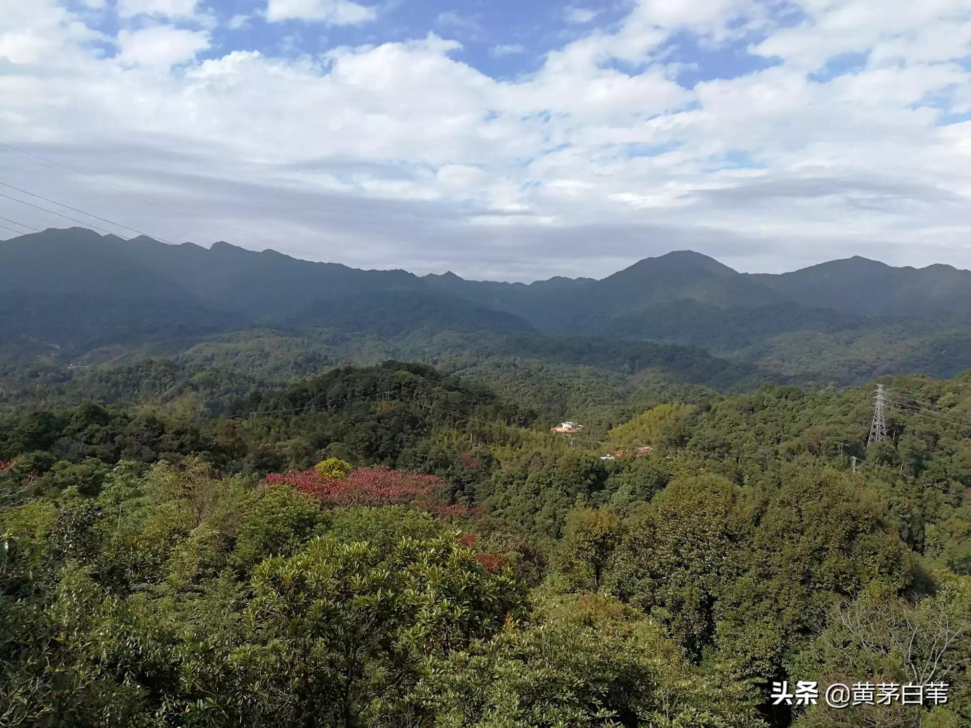 小杜直播欧洲杯:小杜直播欧洲杯比赛视频