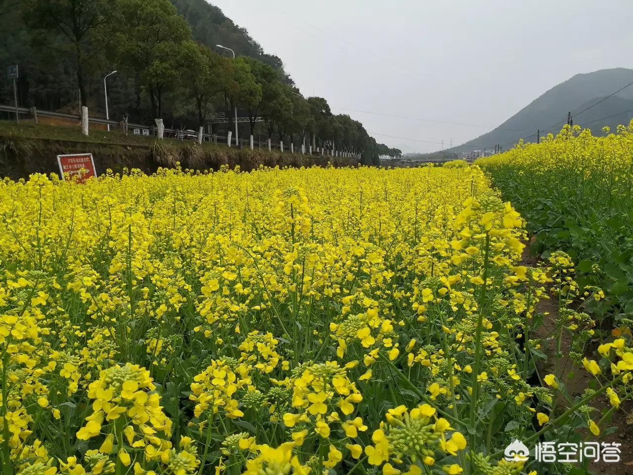 汕头哪里能看欧洲杯直播:汕头哪里能看欧洲杯直播的