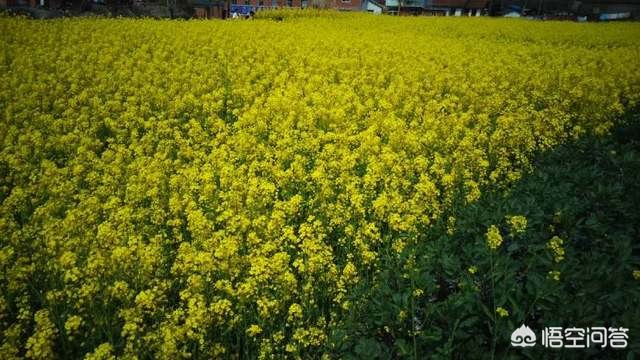 昆明欧洲杯直播平台官网:昆明欧洲杯直播平台官网下载