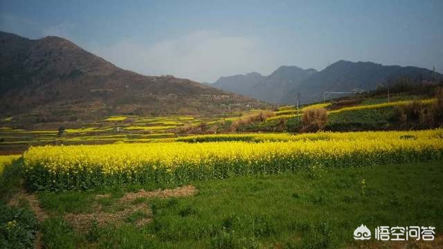 昆明欧洲杯直播平台官网:昆明欧洲杯直播平台官网下载