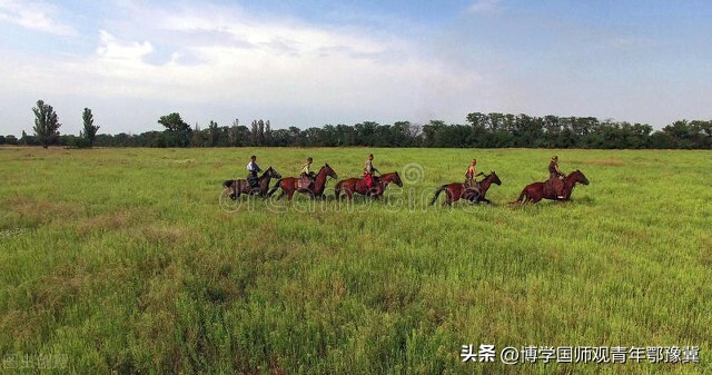 神畜预测欧洲杯视频直播:神畜预测欧洲杯视频直播在哪看